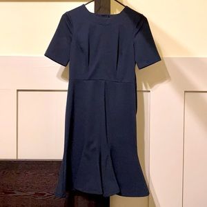 Gorgeous Banana Republic dress!